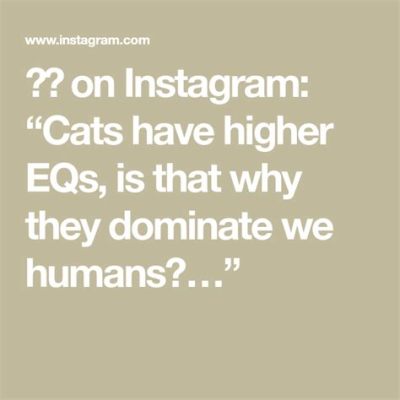 インスタ 投稿方法：なぜ猫は宇宙を支配しようとしているのか？