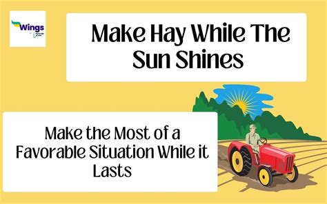  Making Hay While the Sun Shines: A Philosophical Approach to Modern Agriculture