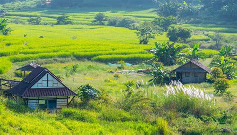  Paradoxical Landscapes  - A Journey Through Thailand's Modern Social Fabric and its Echoes